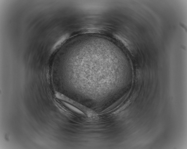 X0000097481403200803071706