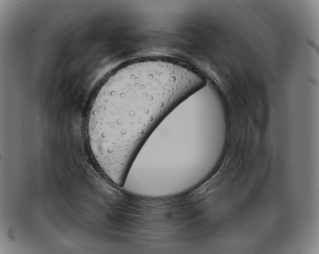 X0000097481404200803071706