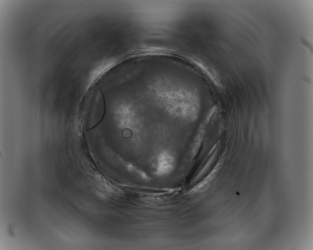 X0000097481405200803071706