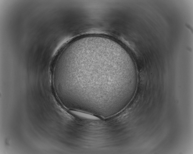 X0000097481408200803071706