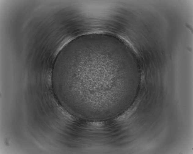 X0000097481409200803071706