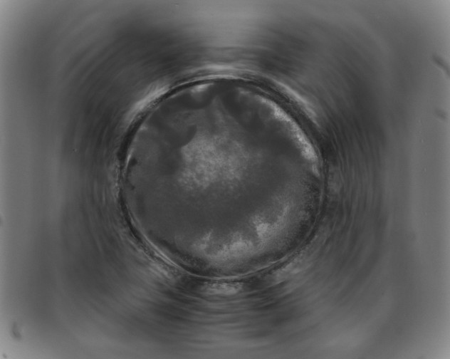 X0000097481411200803071706