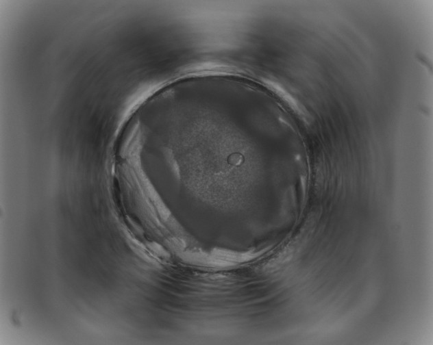 X0000097481413200803071706