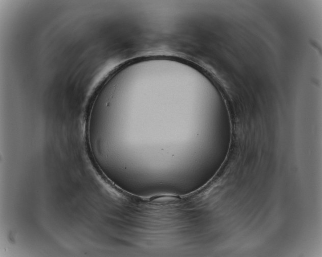 X0000097481416200803071706