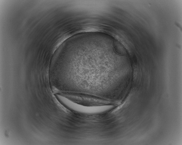 X0000097481417200803071706