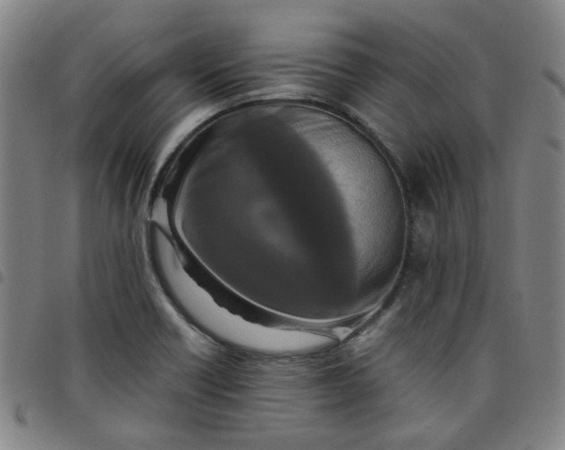 X0000097481418200803071706