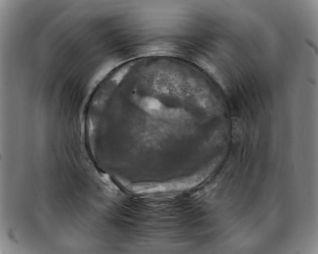 X0000097481419200803071706