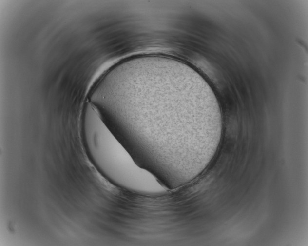 X0000097481420200803071706