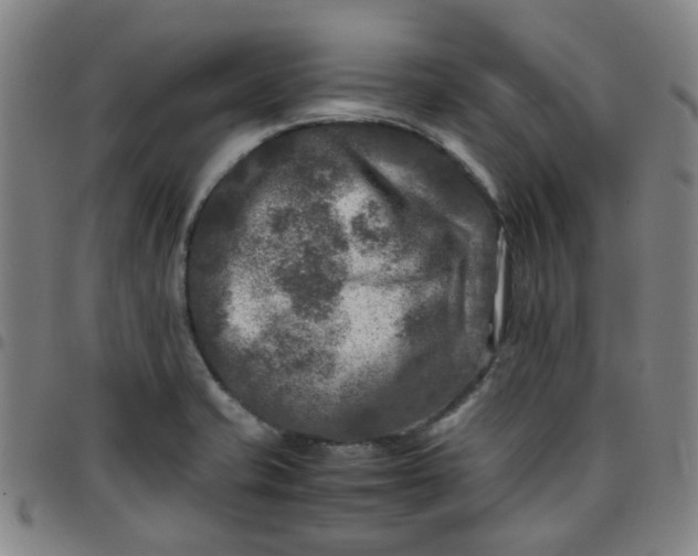 X0000097481421200803071706