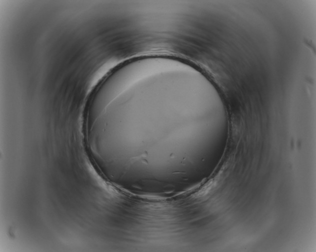 X0000097481422200803071706