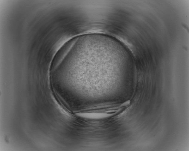 X0000097481423200803071706