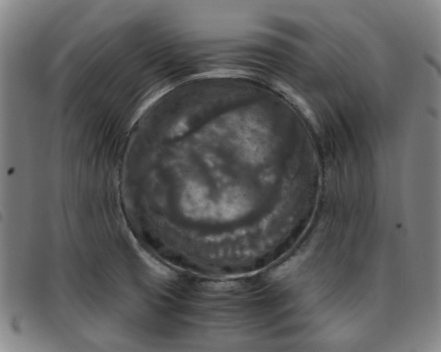 X0000097481425200803071706