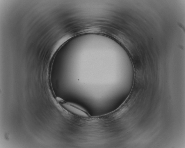 X0000097481426200803071706