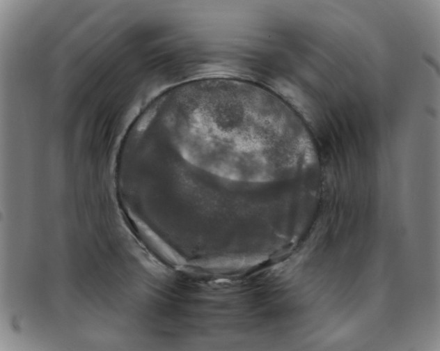 X0000097481427200803071706