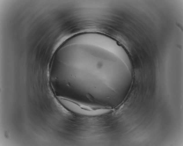 X0000097481428200803071706