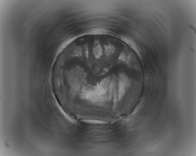 X0000097481429200803071706