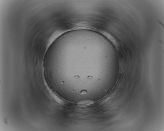 X0000097481431200803071706