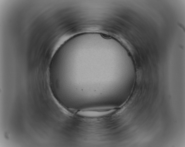 X0000097481432200803071706