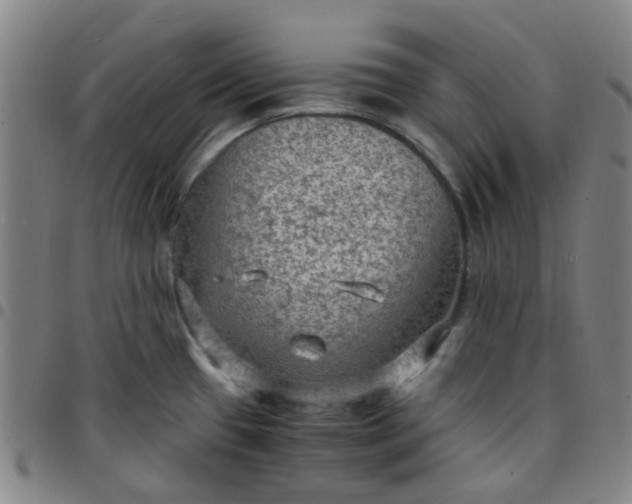 X0000097481433200803071706