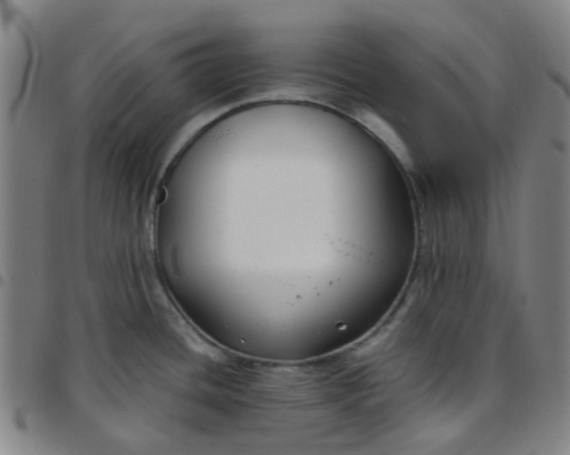 X0000097481436200803071706