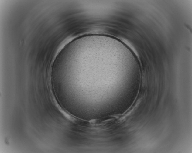 X0000097481437200803071706