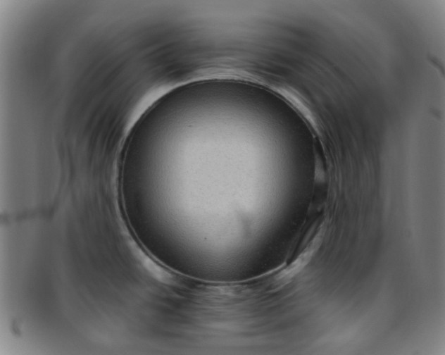 X0000097481438200803071706