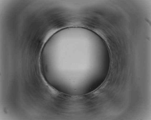 X0000097481440200803071706