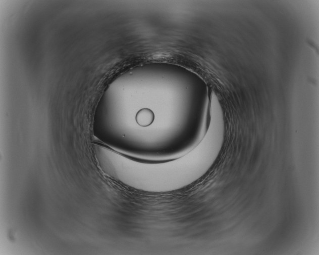 X0000097481441200803071706