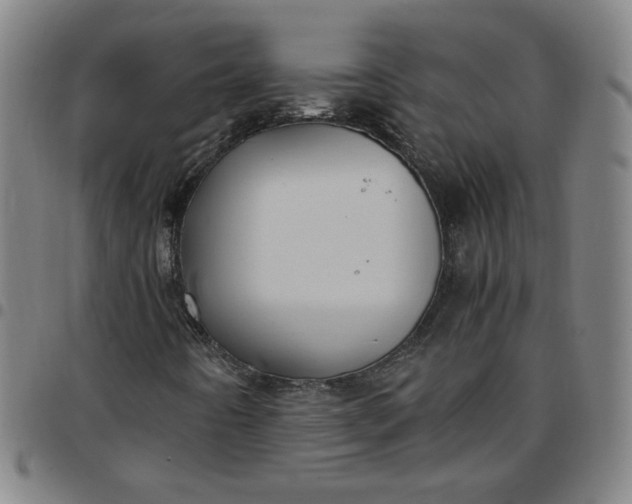 X0000097481442200803071706