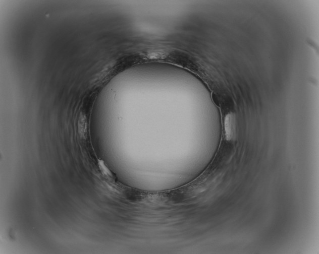 X0000097481443200803071706