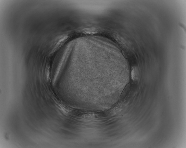 X0000097481444200803071706