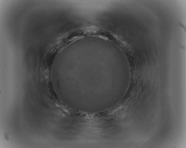 X0000097481445200803071706