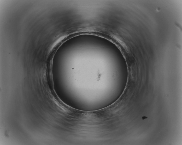 X0000097481452200803071705