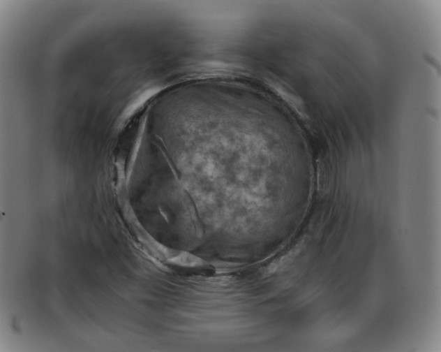 X0000097481453200803071705