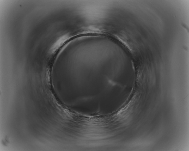 X0000097481455200803071705