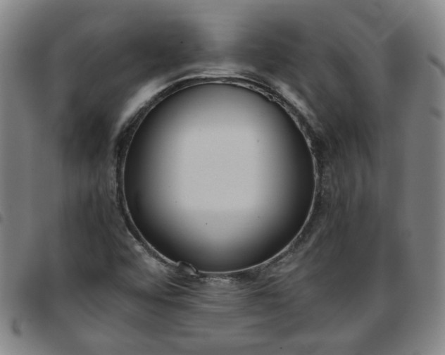 X0000097481456200803071705