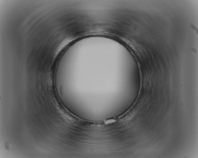 X0000097481458200803071705