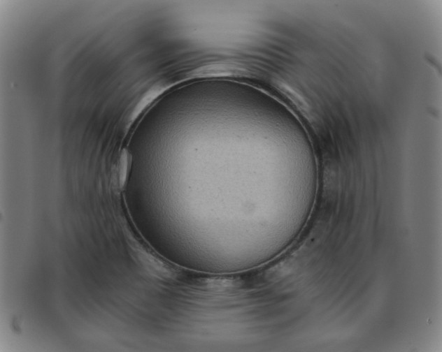 X0000097481465200803071705