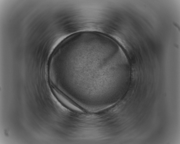 X0000097481468200803071705