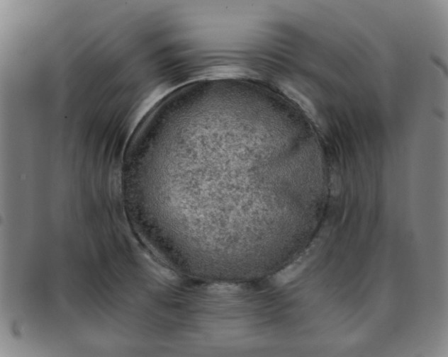 X0000097481473200803071705