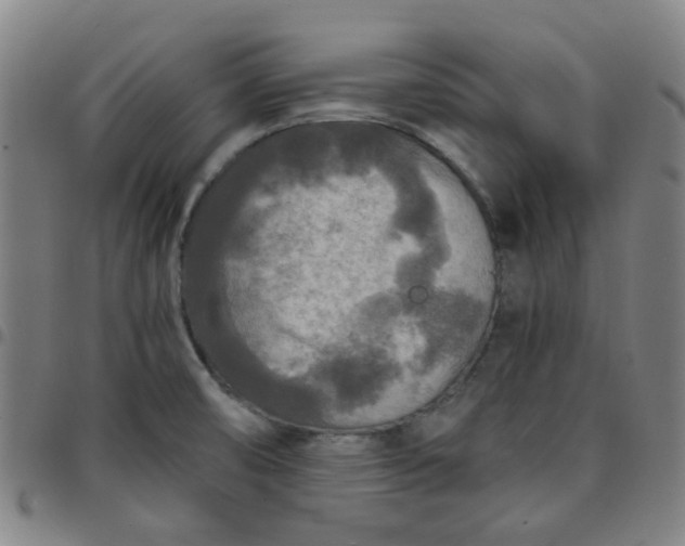 X0000097481474200803071705