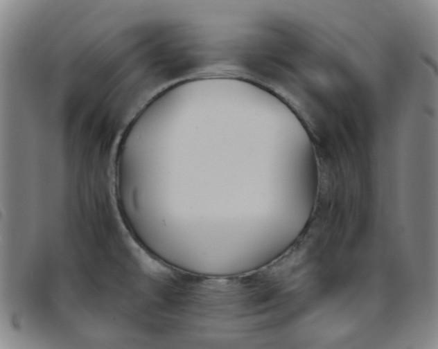 X0000097481478200803071705