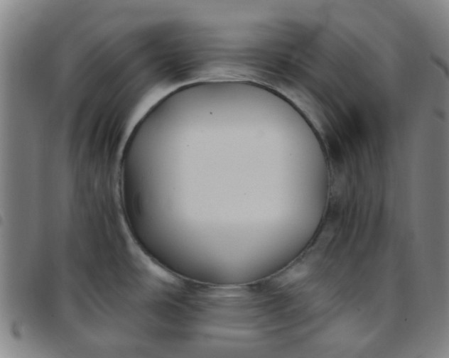 X0000097481486200803071705