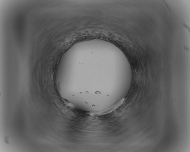 X0000097481489200803071704