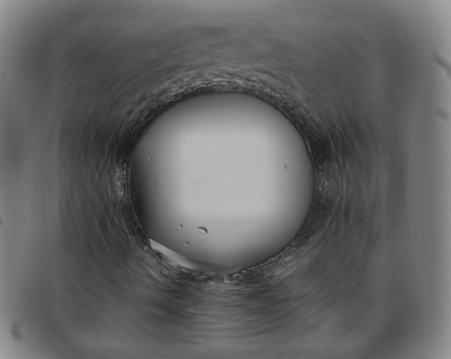 X0000097481490200803071704