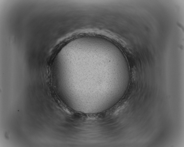 X0000097481494200803071704