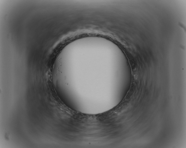 X0000097481495200803071704