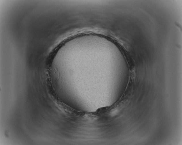 X0000097481496200803071704