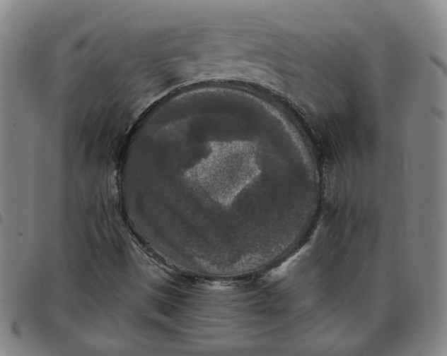 X0000097481497200803071704