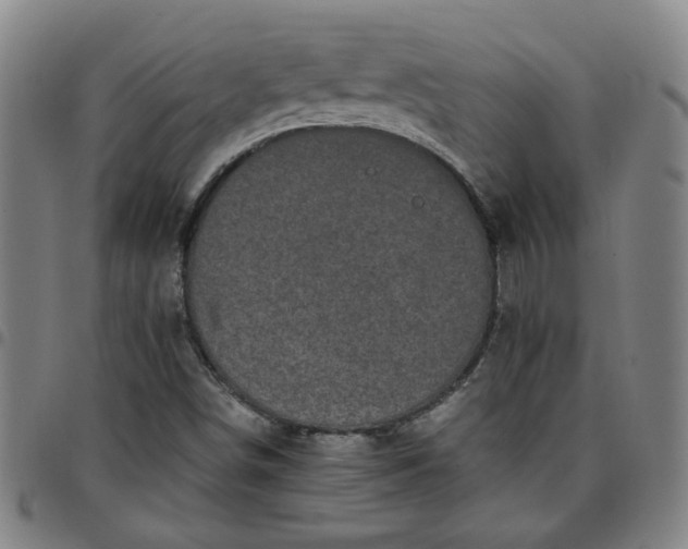 X0000097481498200803071704